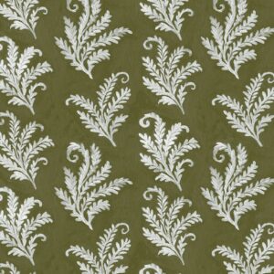 Fern olive