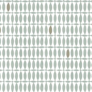 Olive leaf smoke & latte