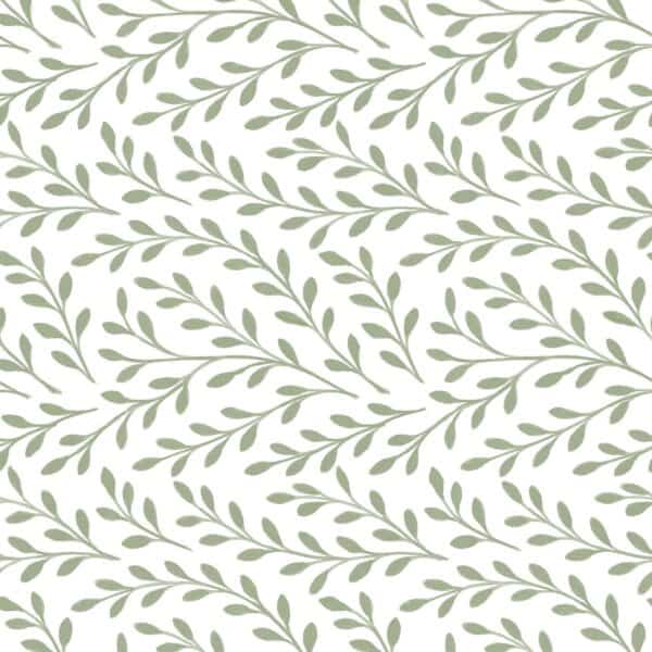 Vine bay leaf